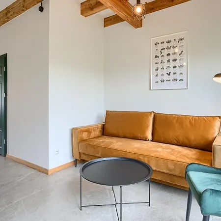Slowinska Aura Apartamenty I Domki Rowy Rowy  Exterior photo